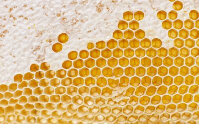Honeygain Review: Can You Actually Make Easy Money Sharing Your Internet?